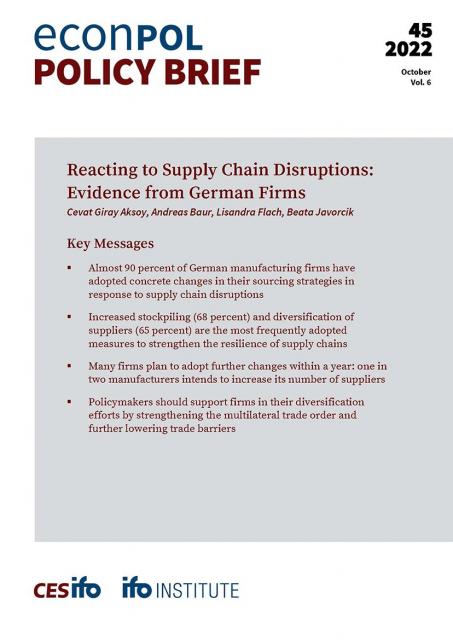 Cover of EconPol Policy Brief 45