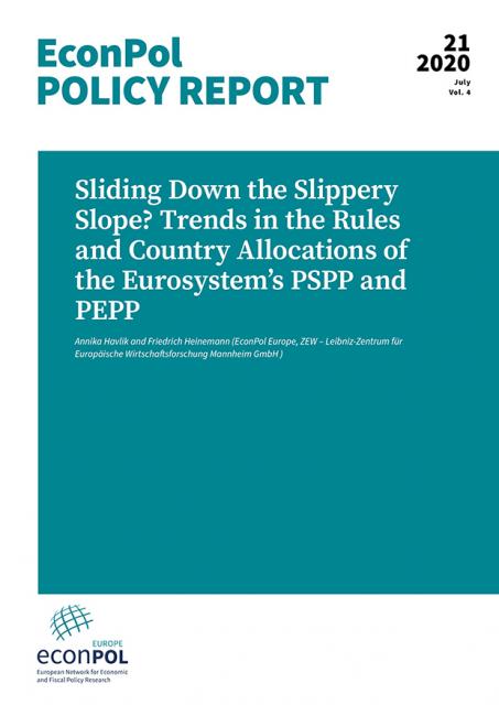 Cover of EconPol Policy Report 21
