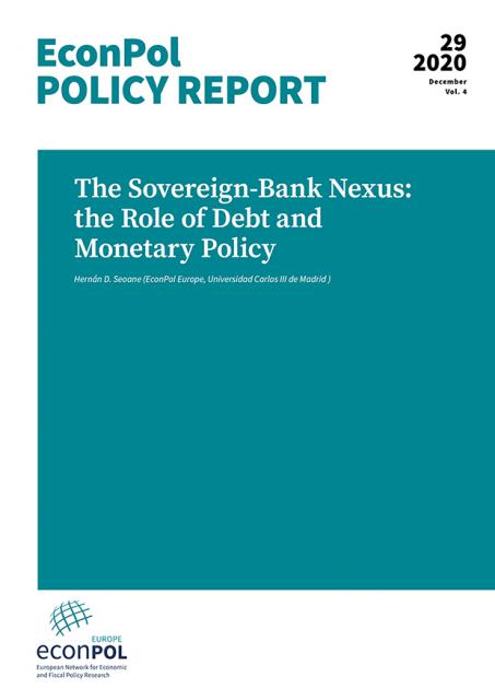 Cover of EconPol Policy Report 29
